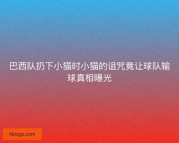 巴西队扔下小猫时小猫的诅咒竟让球队输球真相曝光