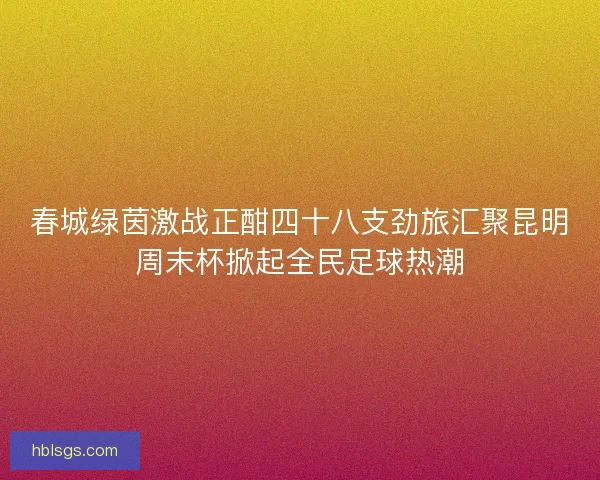 春城绿茵激战正酣四十八支劲旅汇聚昆明周末杯掀起全民足球热潮 春城绿茵激战正酣四十八支劲旅汇聚昆明周末杯掀起全民足球热潮